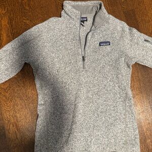 Patagonia Zip-Up Sweater in Light Gray